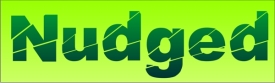 Nudged logo 600x182x200dpi